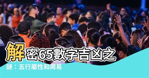 數字65|65：開啟幸運之門的鑰匙